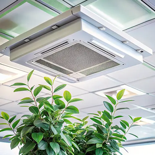 Employee performance indoor air quality